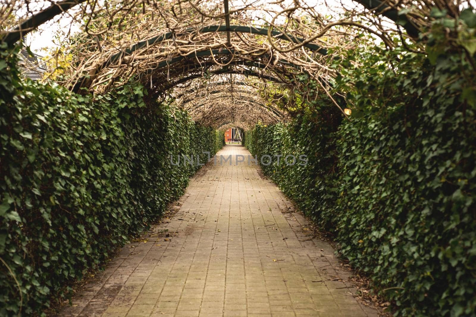 arch with a tunnel made of wicker woven into iron bars