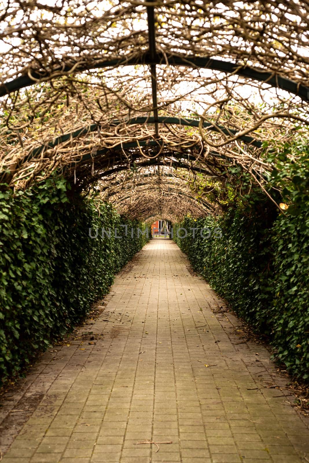 arch with a tunnel made of wicker woven by ozornina