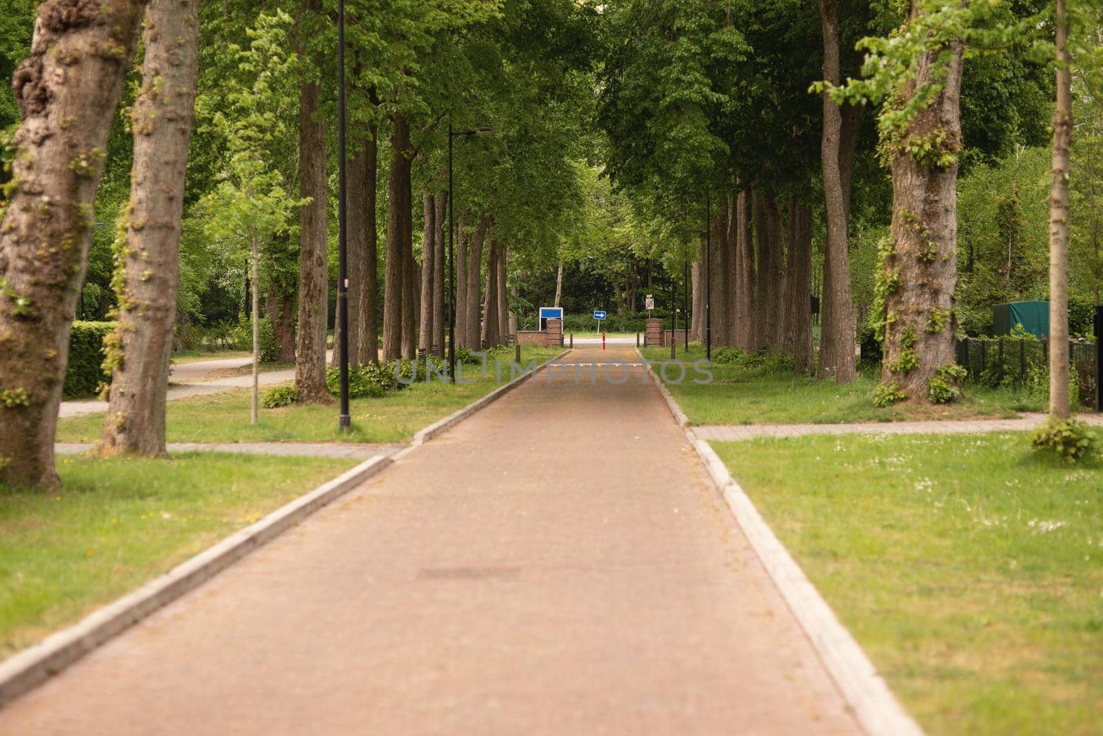 road in the park is made of bricks, along the trees and bushes