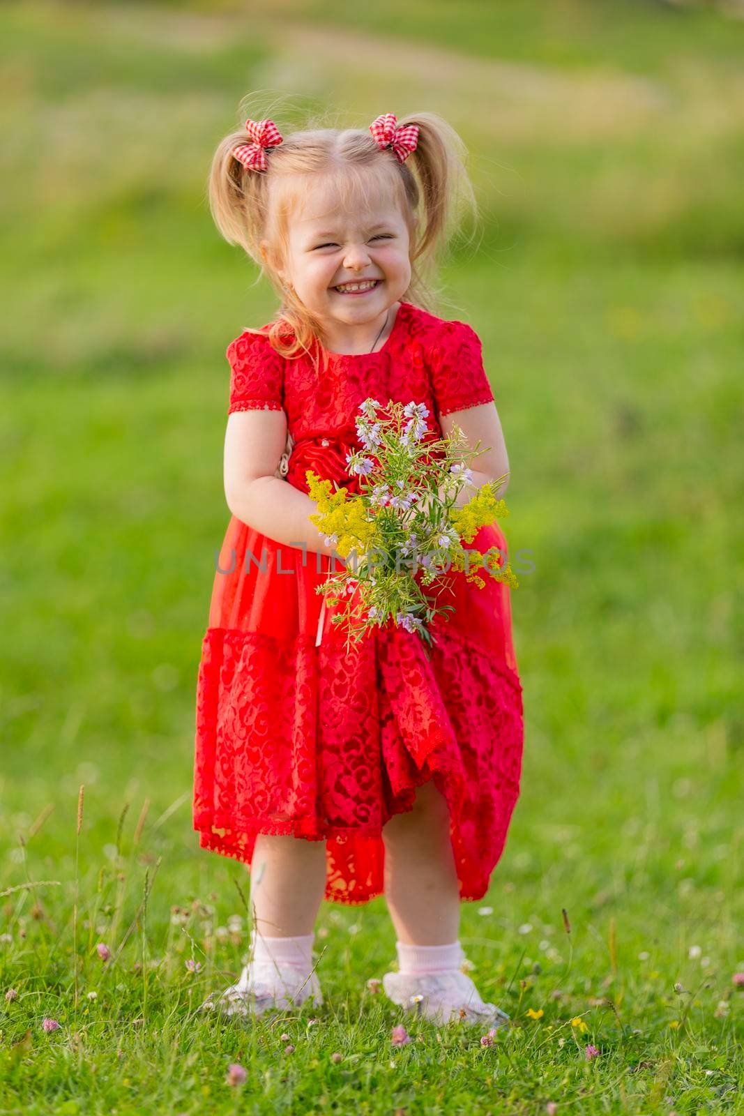 girl in a red dress and with a bouquet of wild flowers by zokov