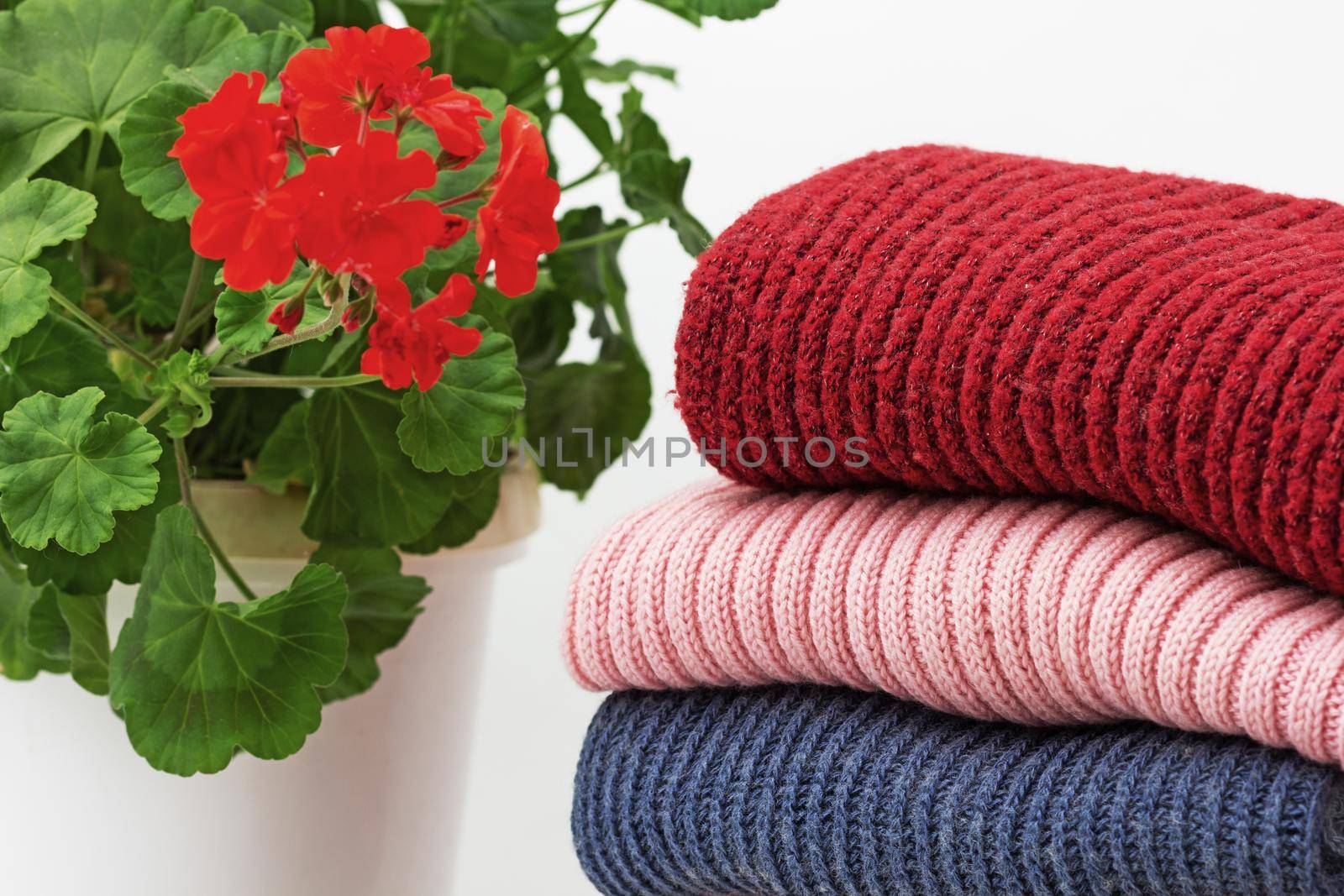 Stack of woolen clothes close to geranium on white background as remedy to prevent from moth