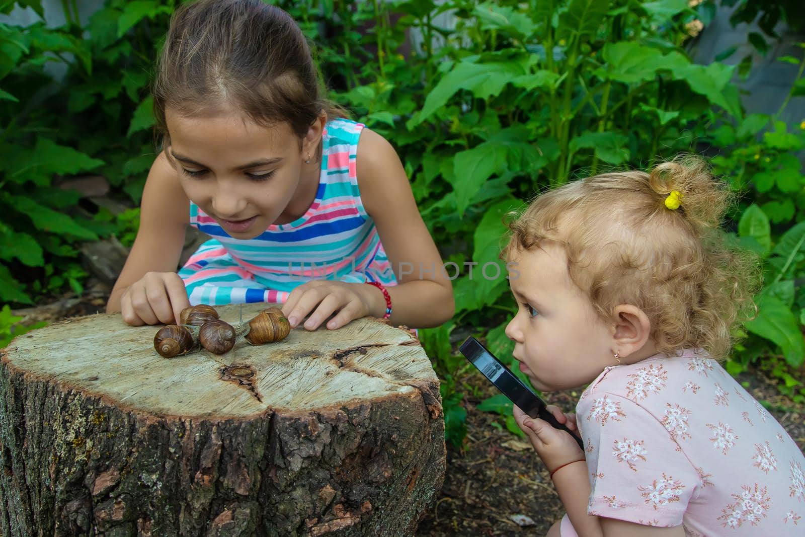 The child examines the snails on the tree. Selective focus. by yanadjana