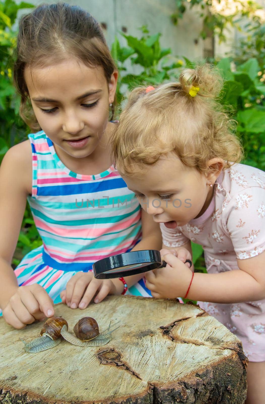 The child examines the snails on the tree. Selective focus. Kid.