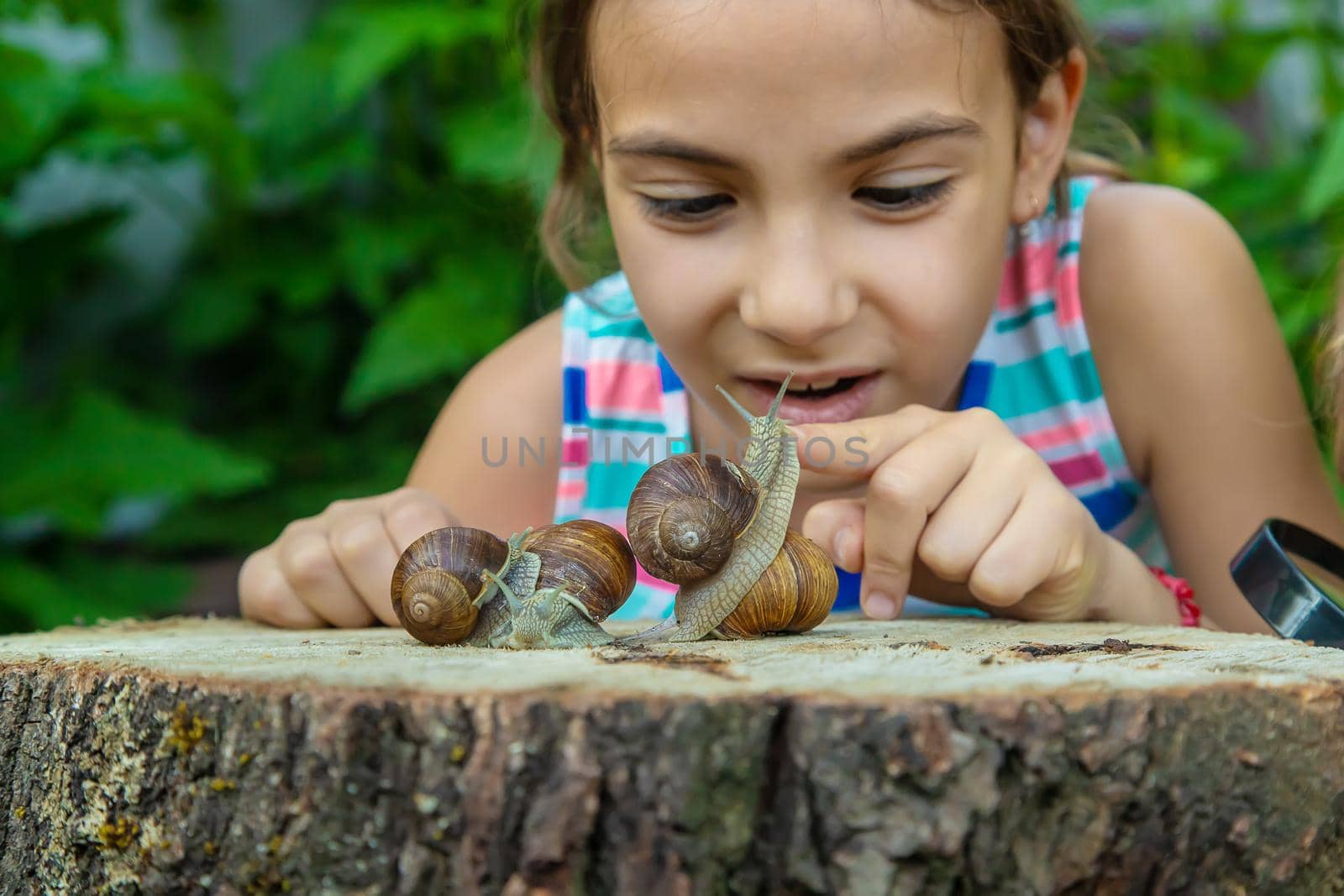 The child examines the snails on the tree. Selective focus. Kid.