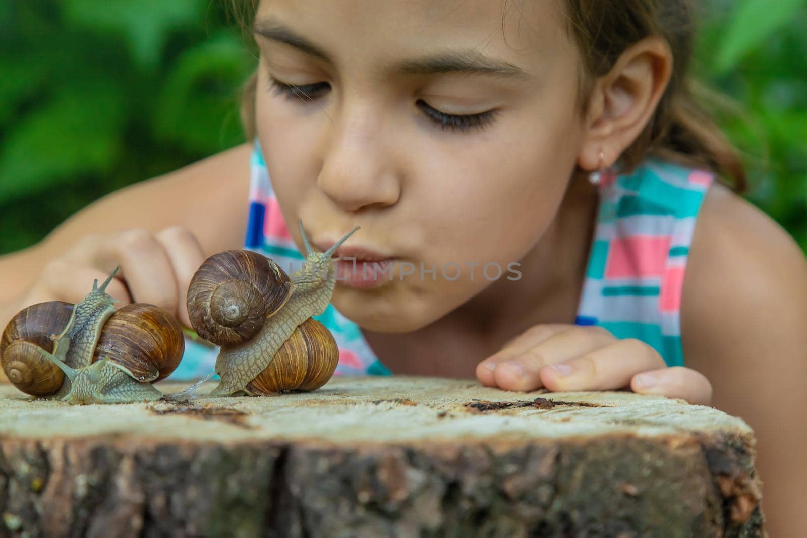 The child examines the snails on the tree. Selective focus. by yanadjana