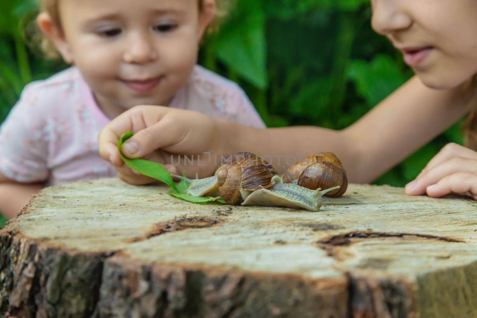 The child examines the snails on the tree. Selective focus. by yanadjana