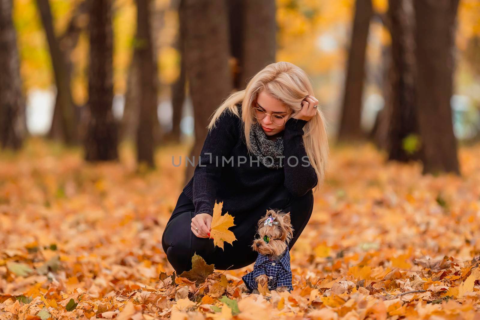 girl with her yorkshire terrier dog in the park