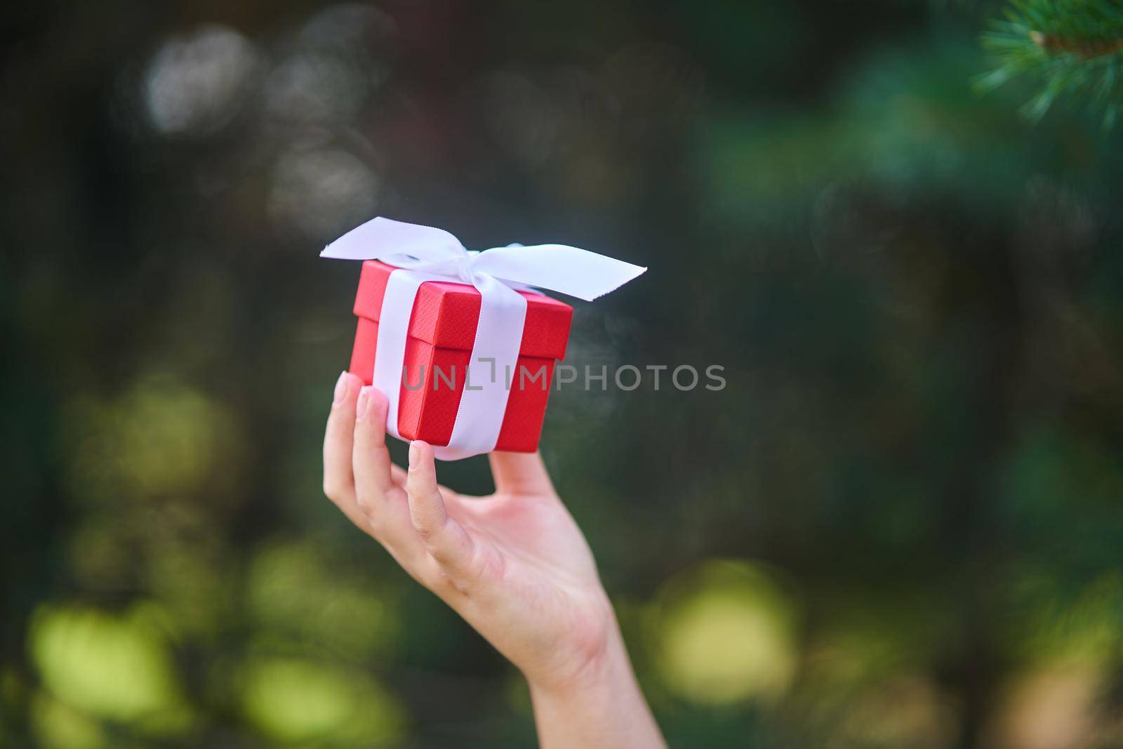 Woman holding small red present box in hands. by driver-s