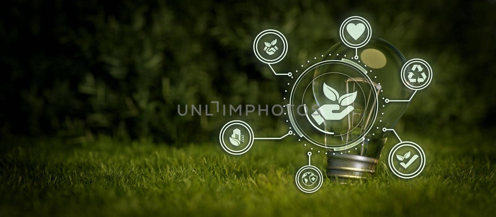 ESG icon for the environment, society, and governance in sustainable in lightbulb and beautiful grass 3d Render by yay_lmrb