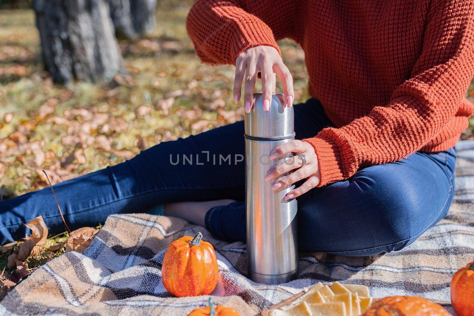 Beautiful woman in red sweater on a picnic in a autumn forest by Desperada