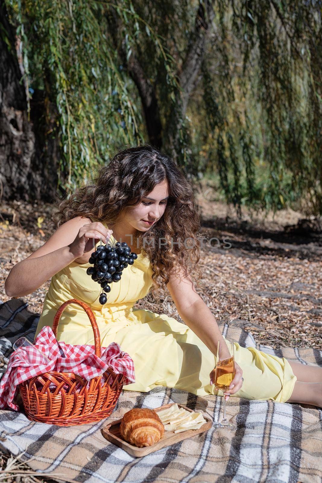 Beautiful woman in yellow dress on a picnic by Desperada