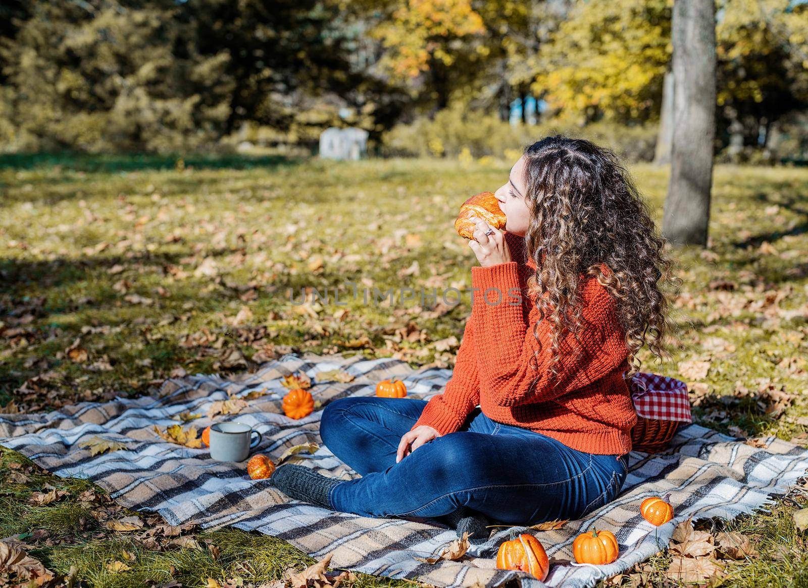 Beautiful woman in red sweater on a picnic in a autumn forest by Desperada