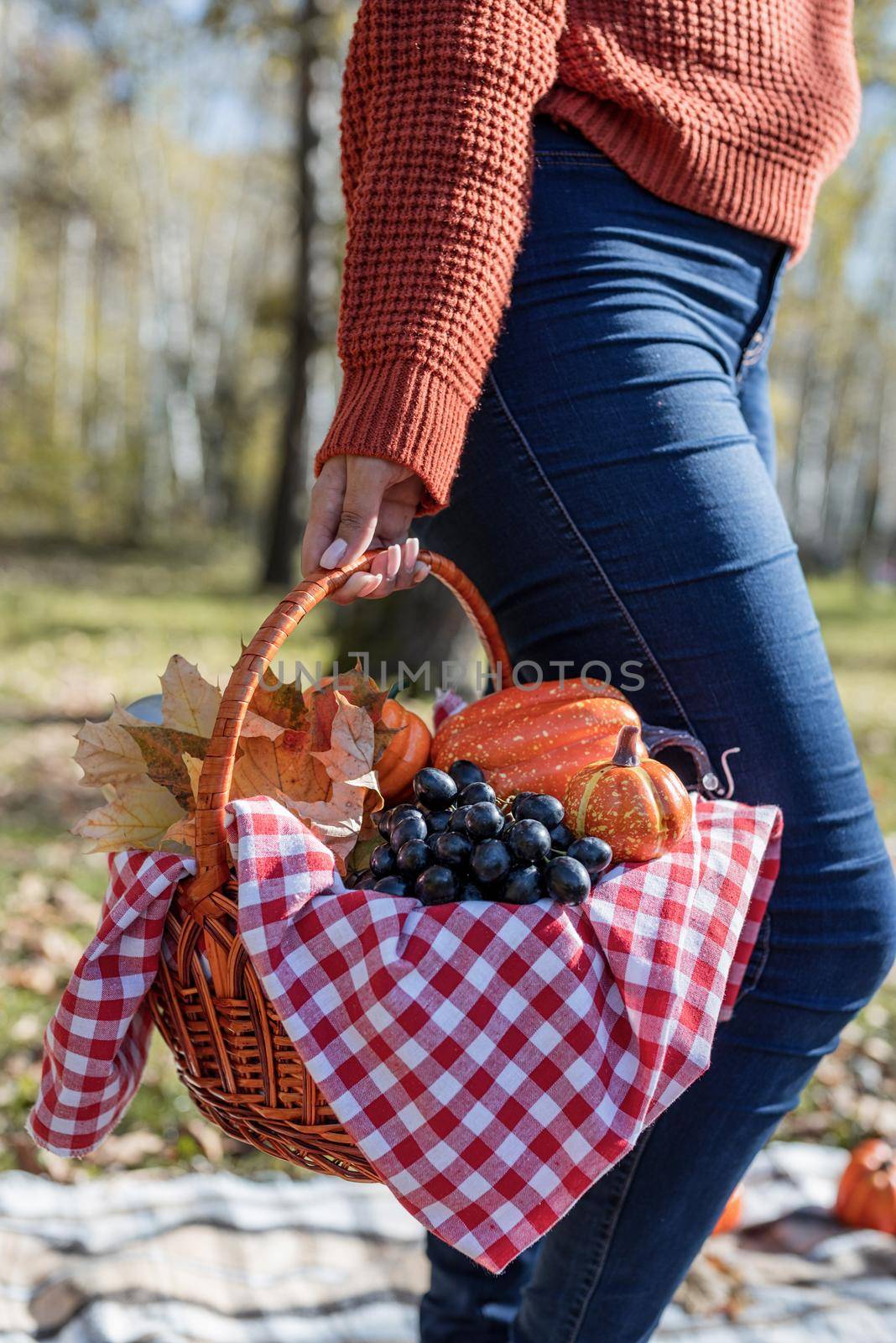 Leisure, free time. Beautiful caucasian woman in red sweater on a picnic outdoors, sitting on a plaid in autumn forest