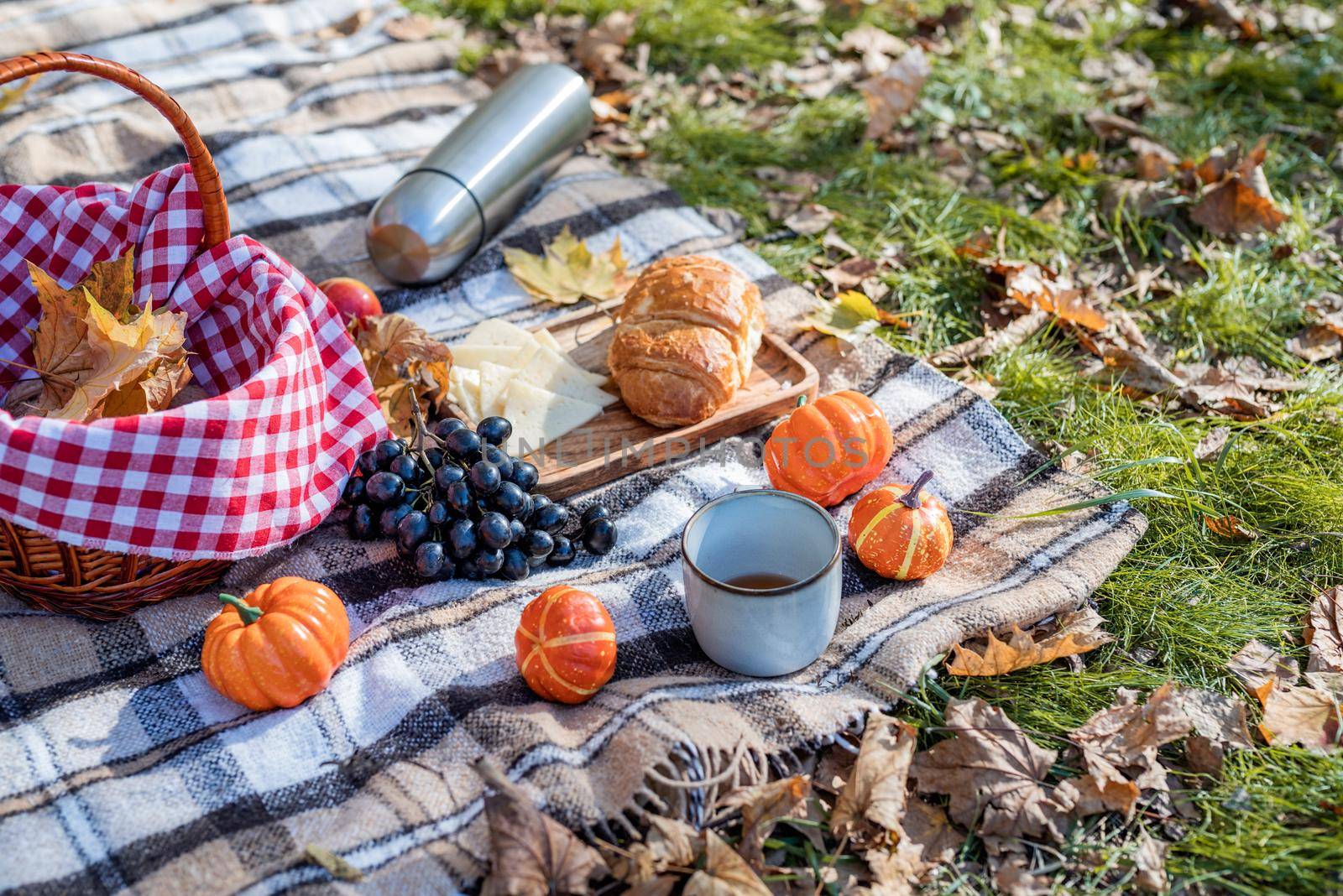 Leisure, free time. Beautiful caucasian woman in red sweater on a picnic outdoors, sitting on a plaid in autumn forest