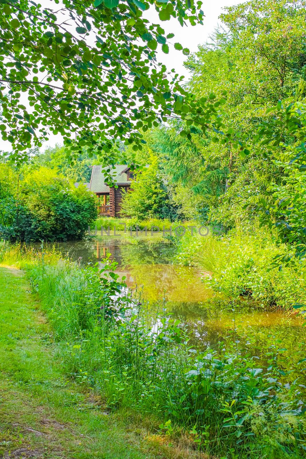 Natural beautiful panorama view with idyllic lake steam and river pathway and green plants trees in the forest of Hemmoor Hechthausen in Cuxhaven Lower Saxony Germany.