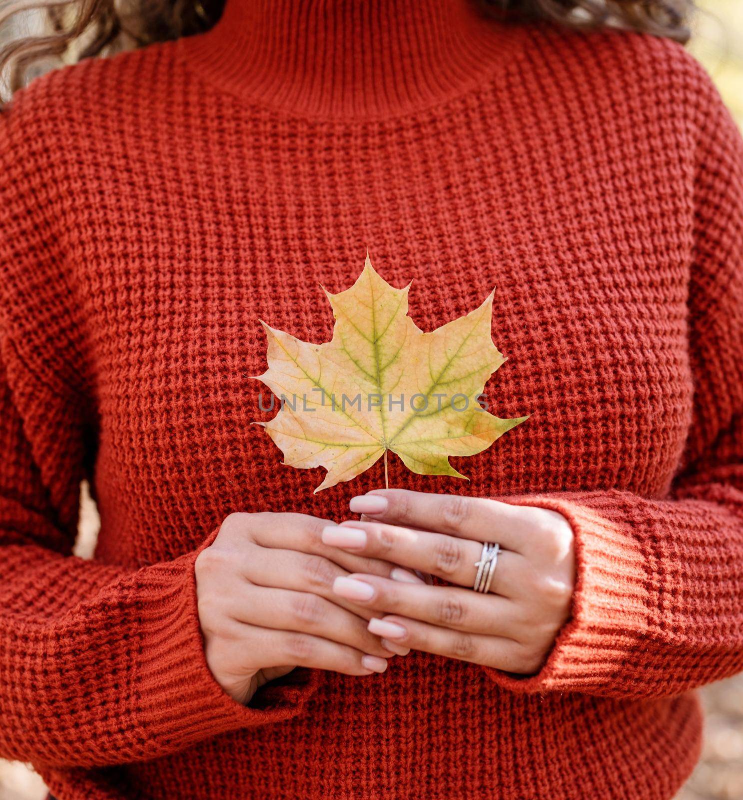 Young happy woman gathering leaves in autumn forest by Desperada