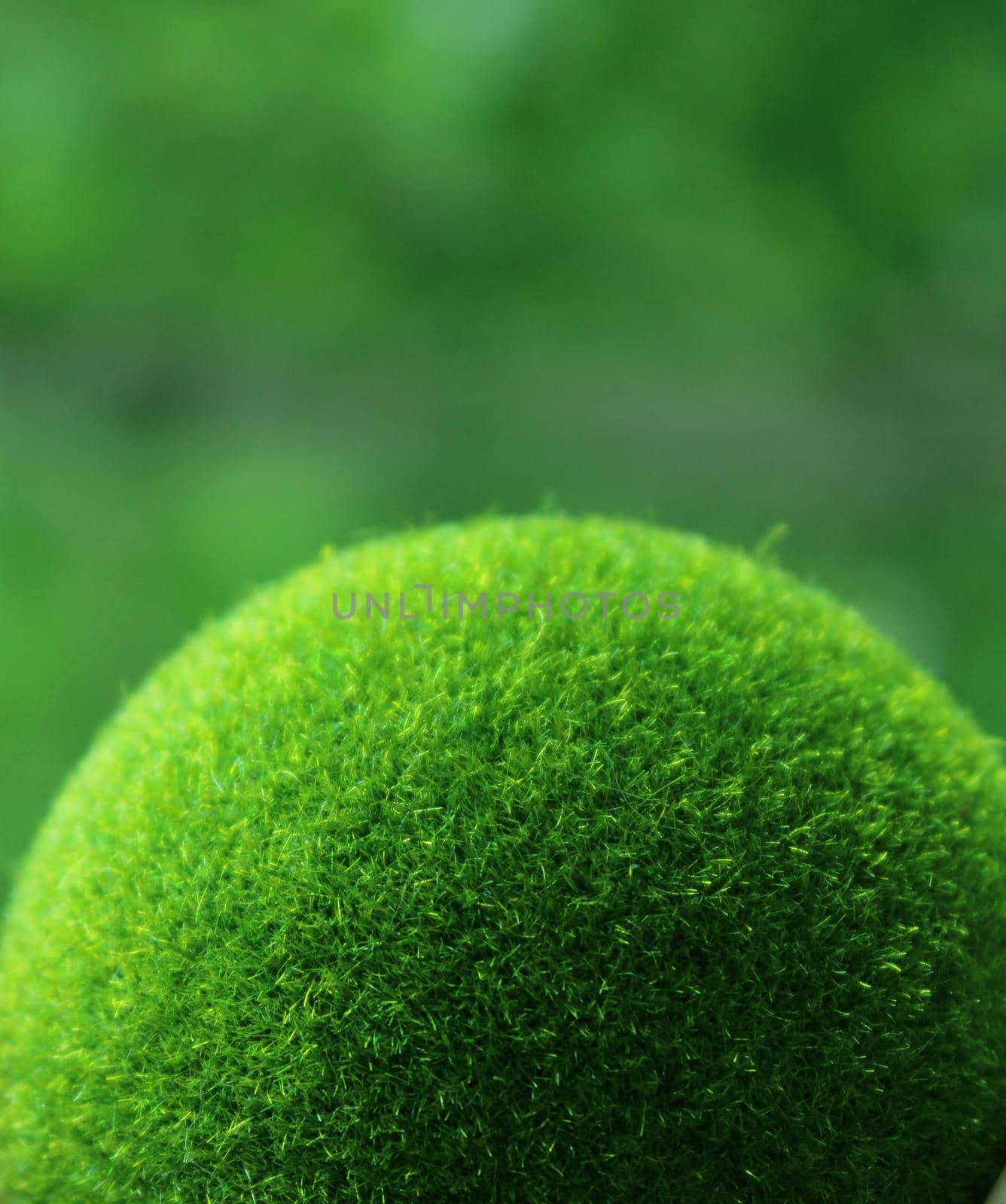 A green ball of grass on a green background. Earth Day. Ecological concept..