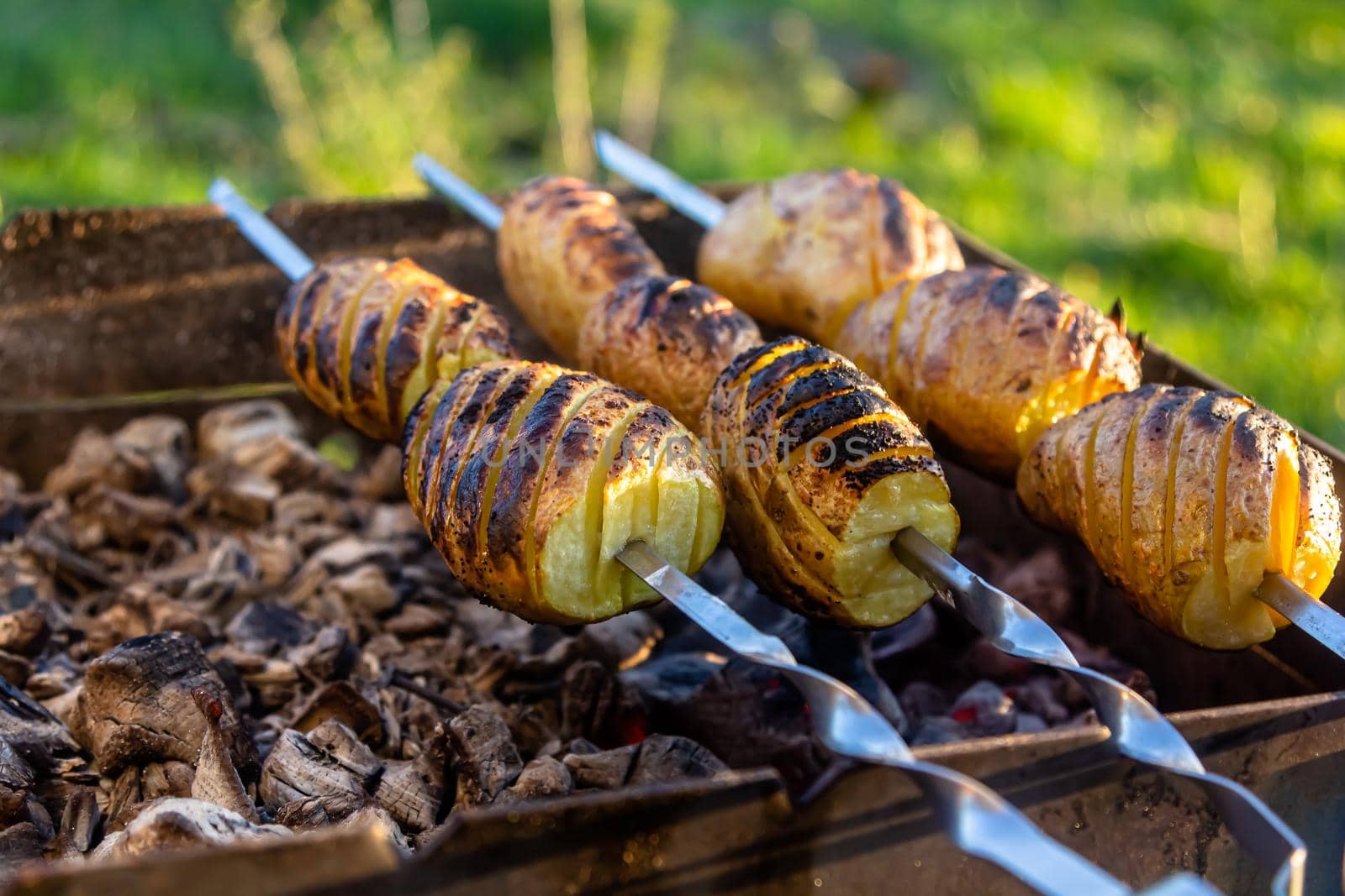 vegetarian skewers made from potatoes and mushrooms on the grill outdoors.