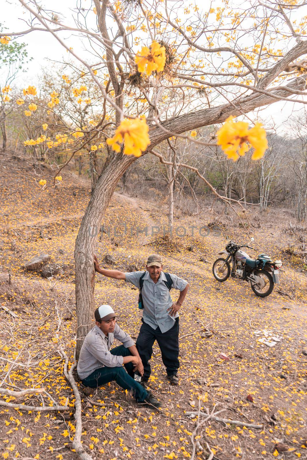Peasant father and son under a Cortez tree with yellow flowers and a motorcycle next to them by cfalvarez