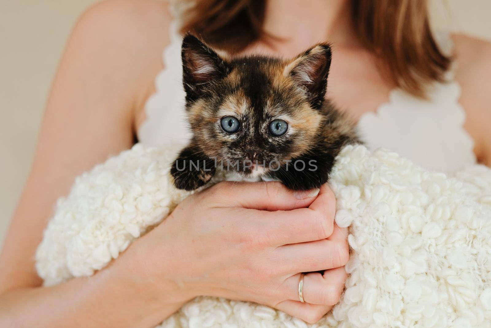 Woman holding little curious red striped kitten in hand over white blanket looking at camera