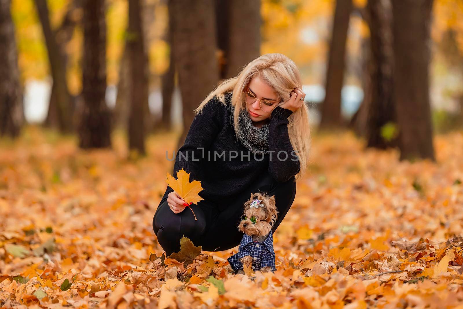 girl with her yorkshire terrier dog by zokov