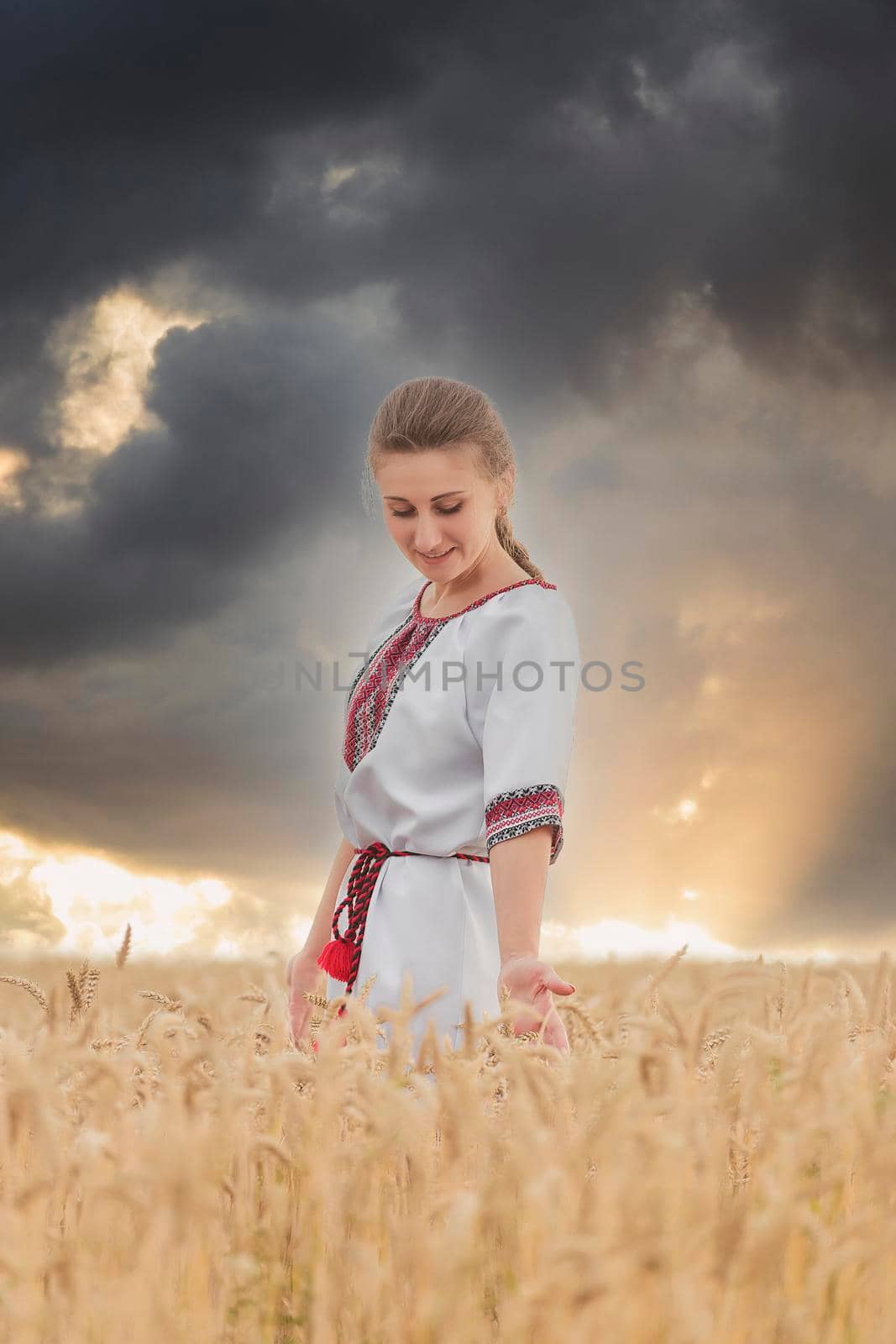 girl in the Ukrainian national costume on the background of a wheat field and sunset sun