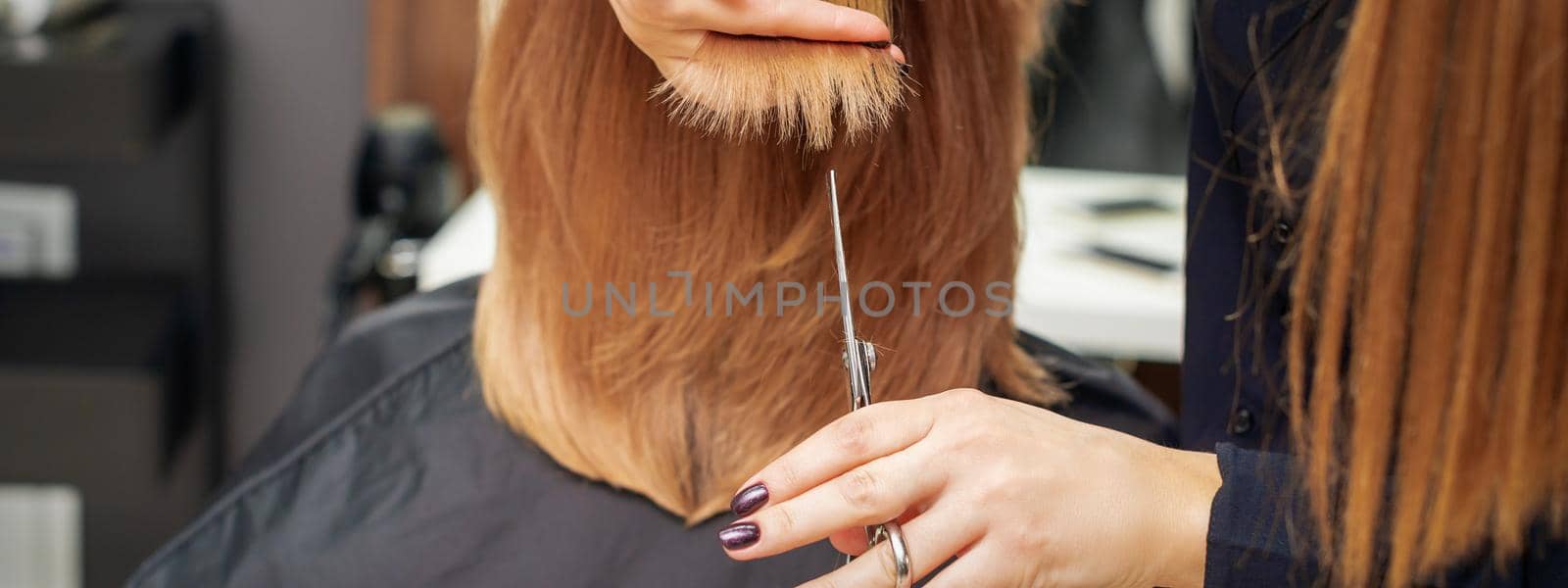 Hairdresser cuts red hair tips holding lock of red hair between fingers in beauty salon. Getting rid of split ends