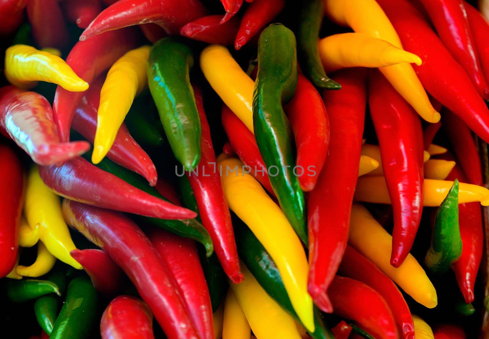 Colorful Mexican Hot Pepper Mix For Sale