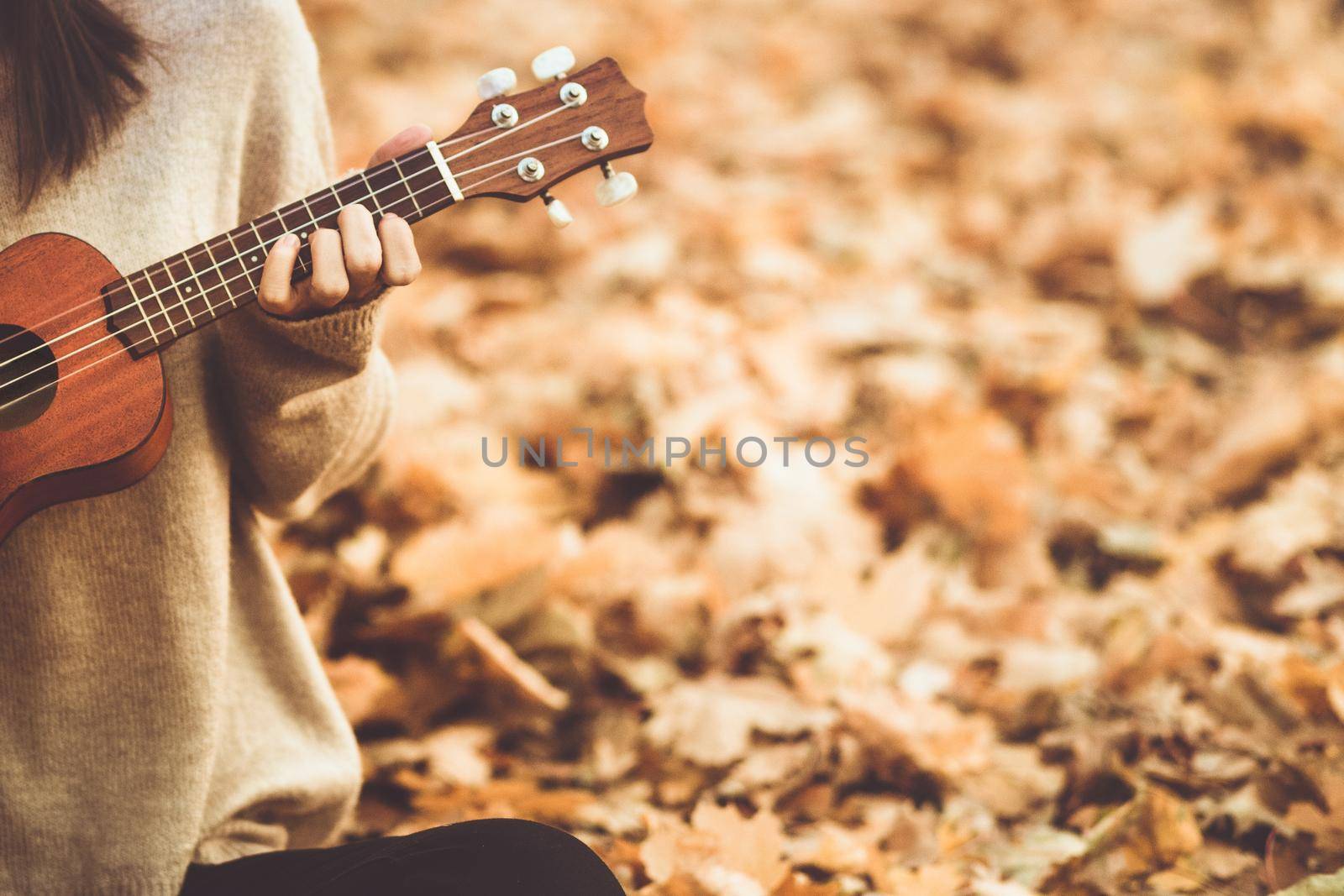 Ukulele in woman hands closeup playing an acoustic instrument ukulele in autumn outdoor with copy space, toned photo.