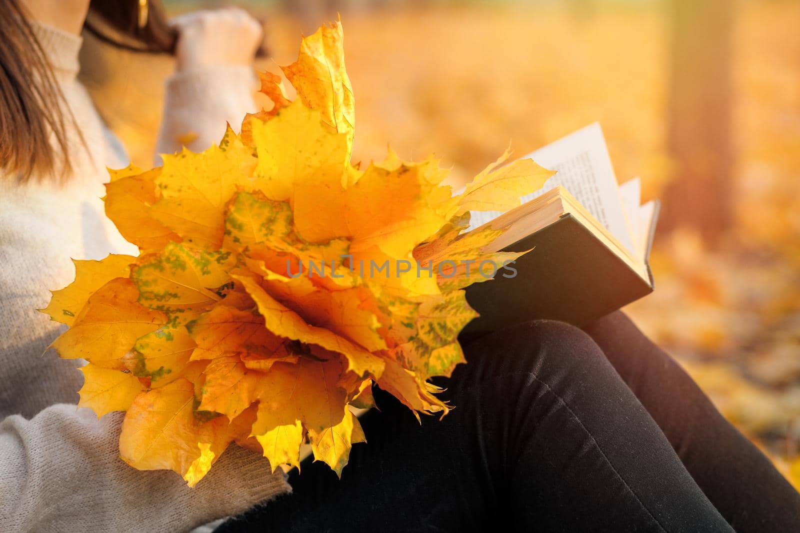 Close-up on an autumn bouquet of yellow leaves and a book on a woman's lap. Autumn mood in autumn park.