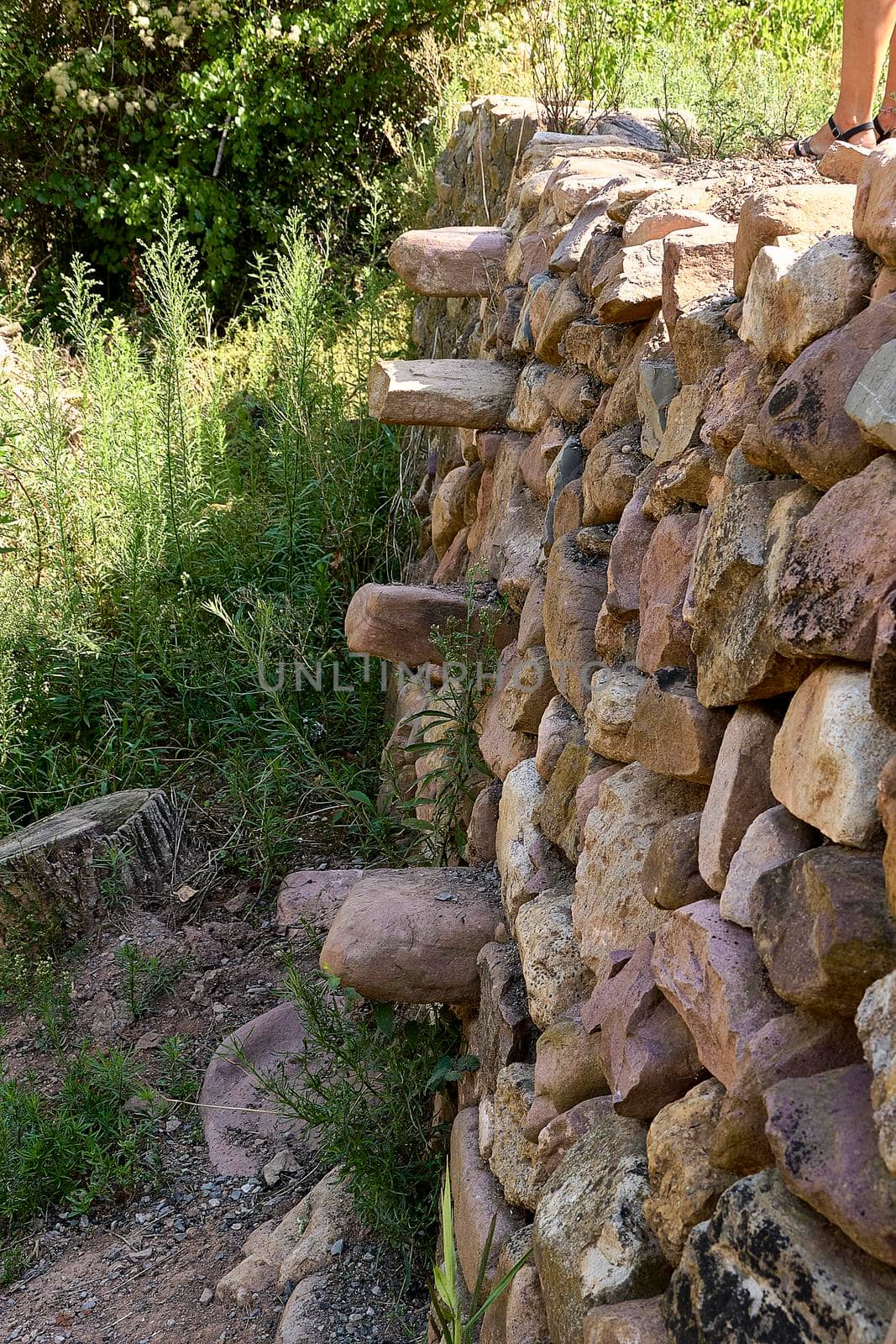 Stone wall for the fields with stone steps to climb, surrounded by vegetation.Sunny, typical Mediterranean construction. Dry stone