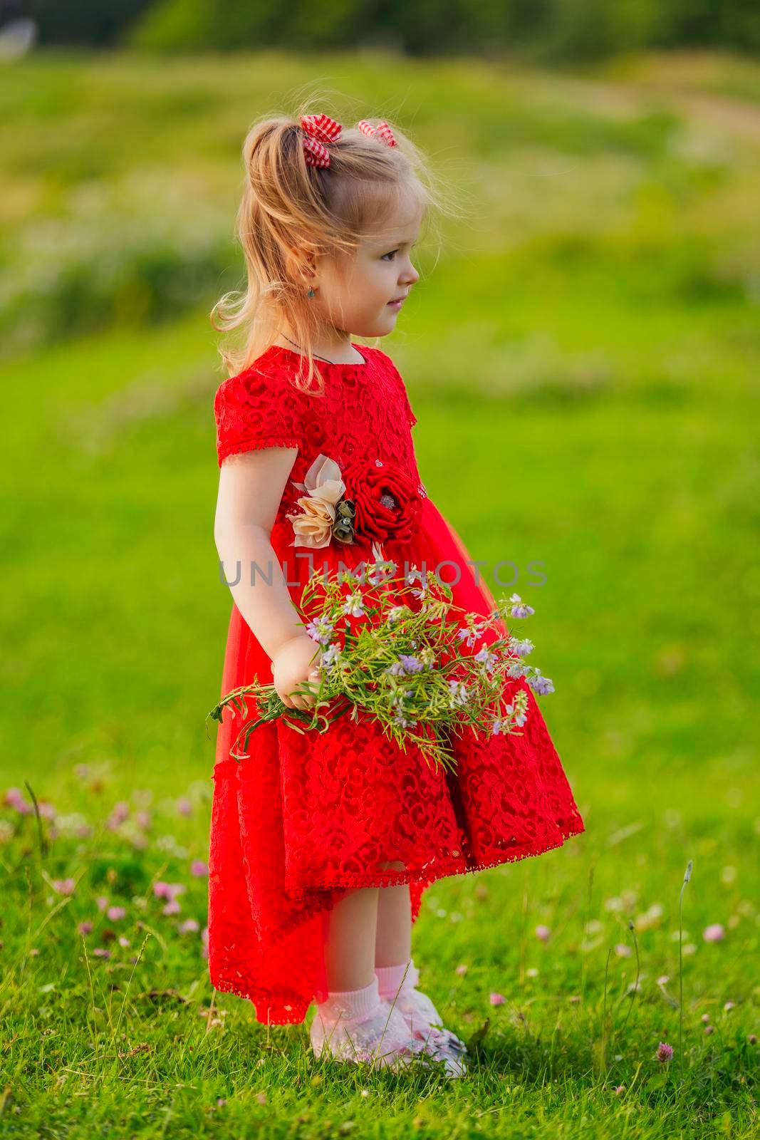 girl in a red dress and with a bouquet of wild flowers on the lawn