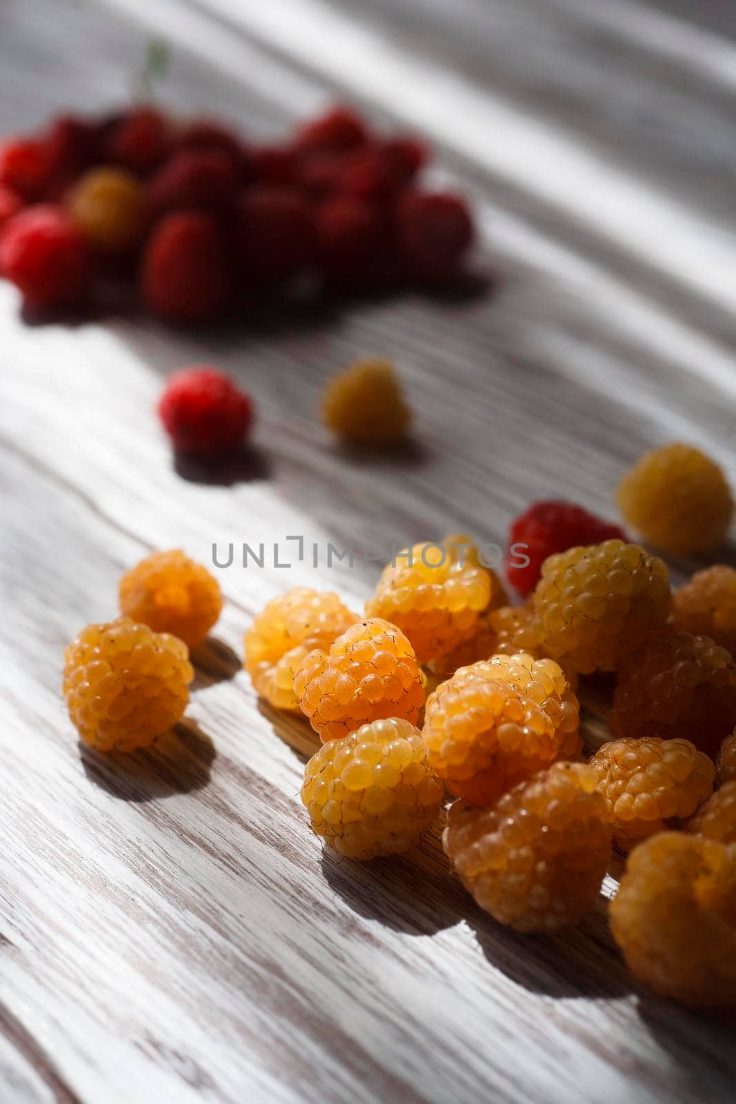 Two handfuls of fresh red and yellow raspberry on white wooden table, selective focus.