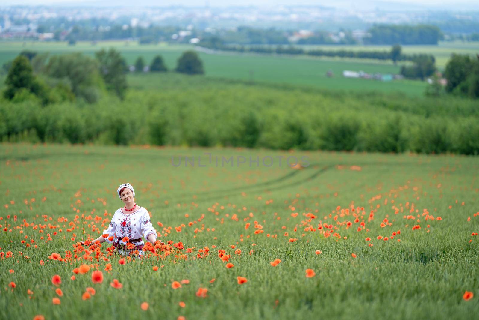 woman in Ukrainian national dress on a flowering poppy field by Edophoto