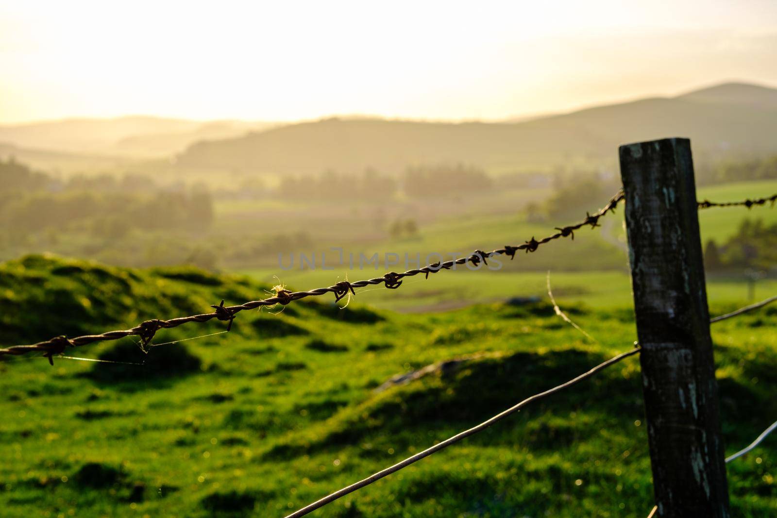 Beautiful Rolling Landscape Of The Scottish Borders At Sunset, With Focus On An Old Barbed Wire Fence In The Foreground
