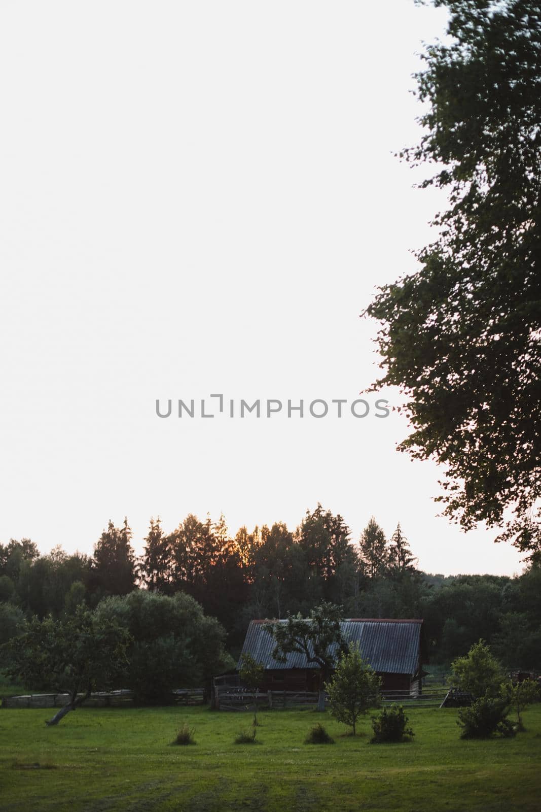 Beautiful natural pastoral scenery of countryside landscape in summer by paralisart