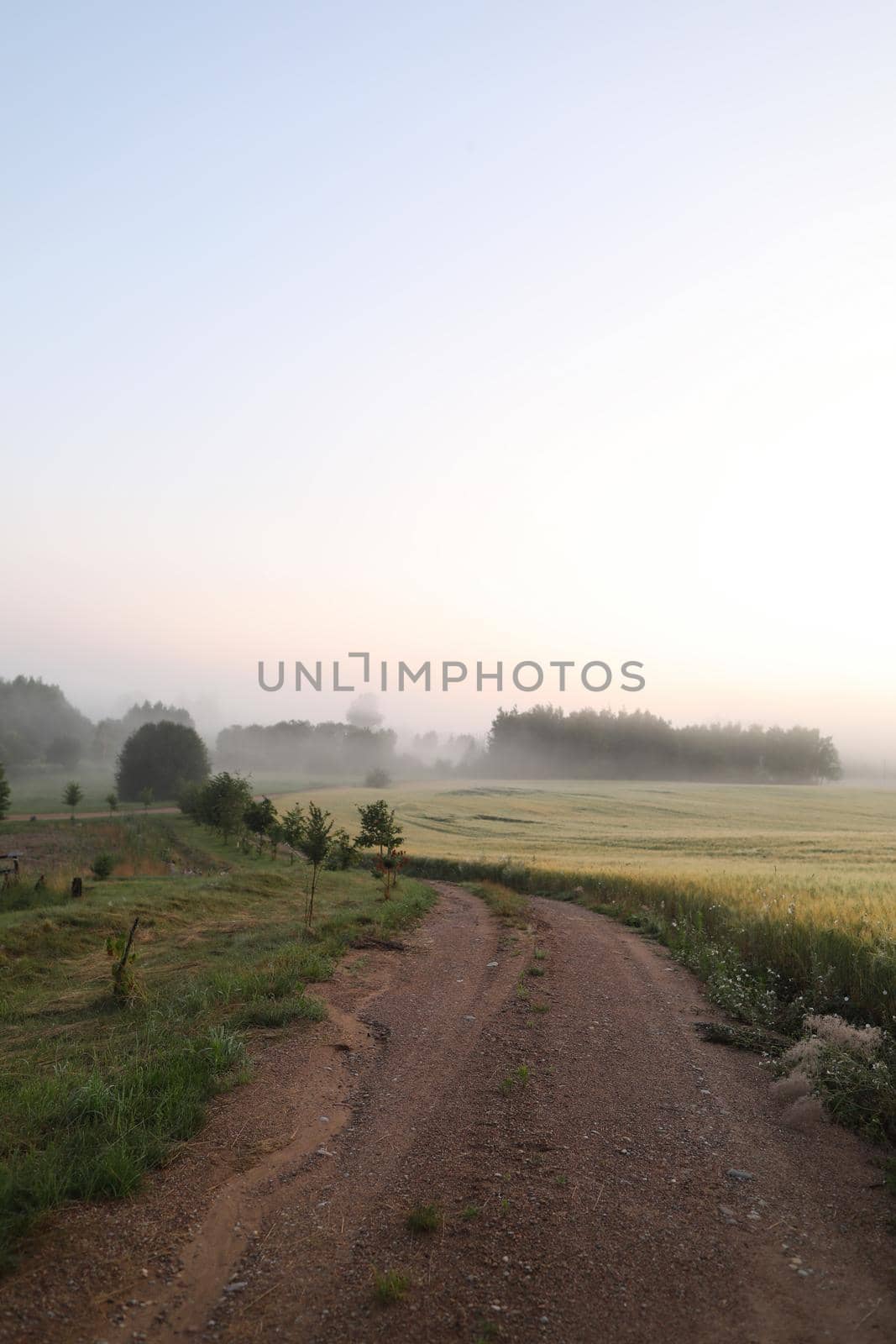 Beautiful natural pastoral scenery of countryside landscape in summer.