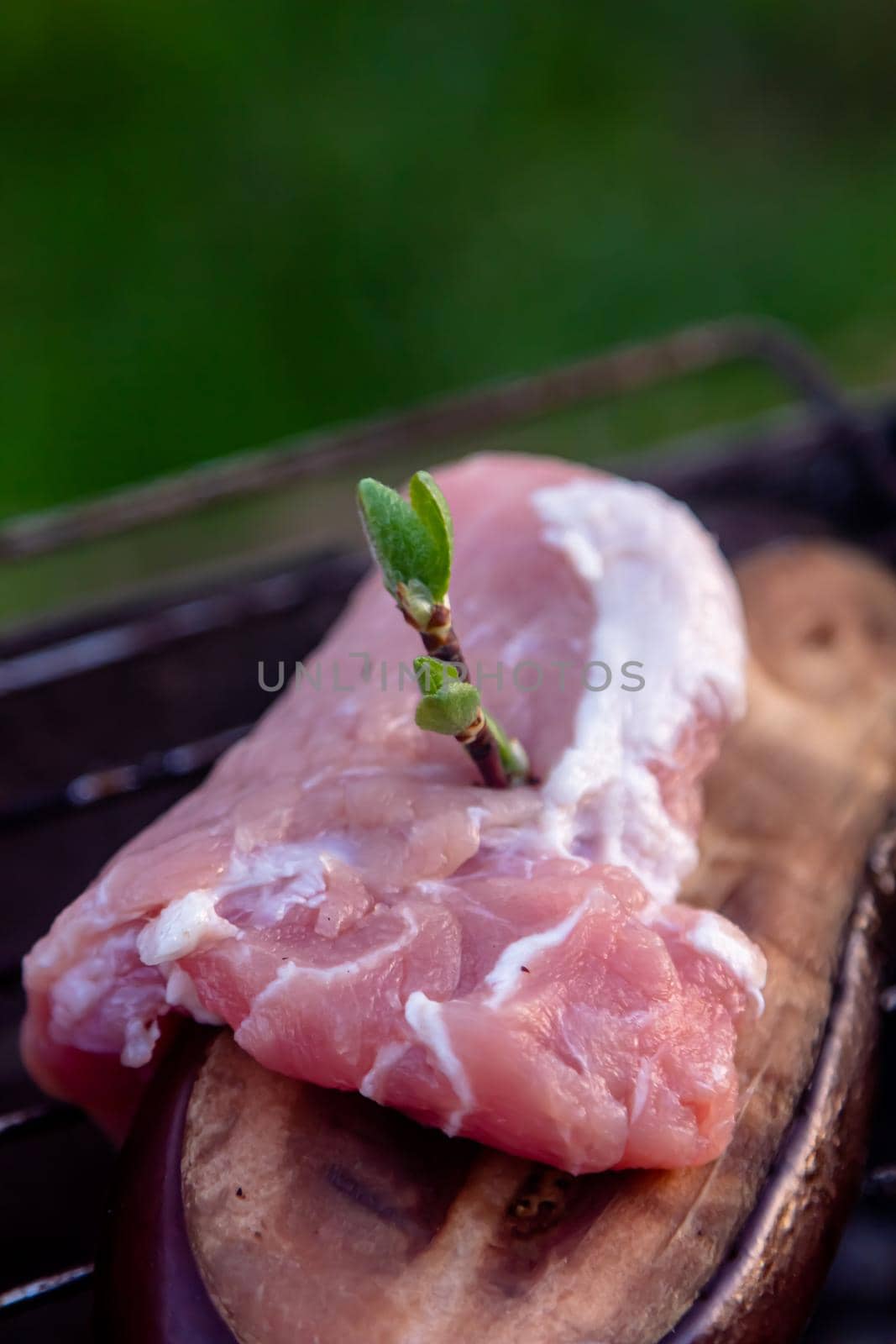 Pieces of the uncooked pork tenderloin with twigs of fresh parsley on a square white dish on the old rustic table.
