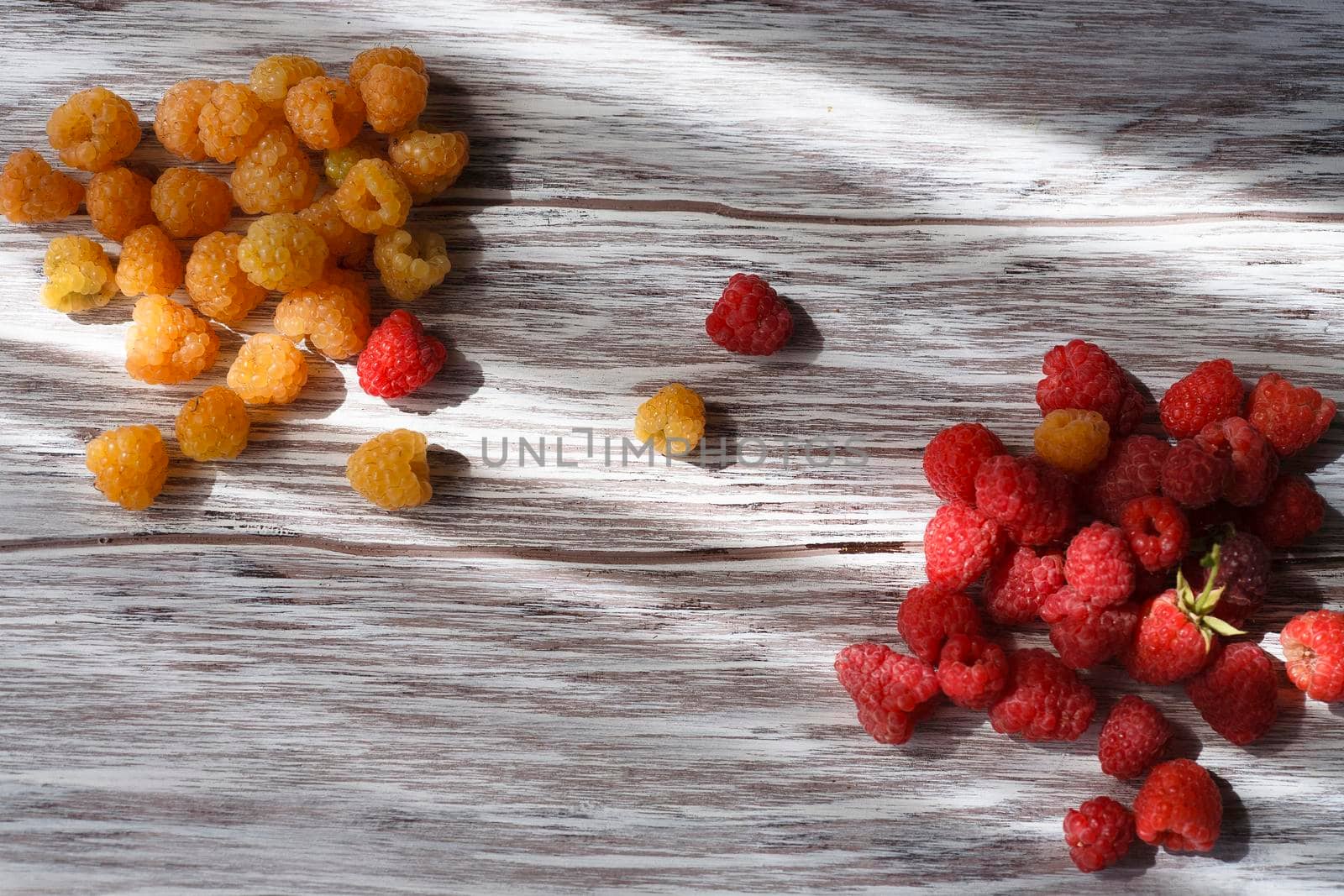 Two handfuls of fresh red and yellow raspberry on white wooden table, flat lay, top view, selective focus.