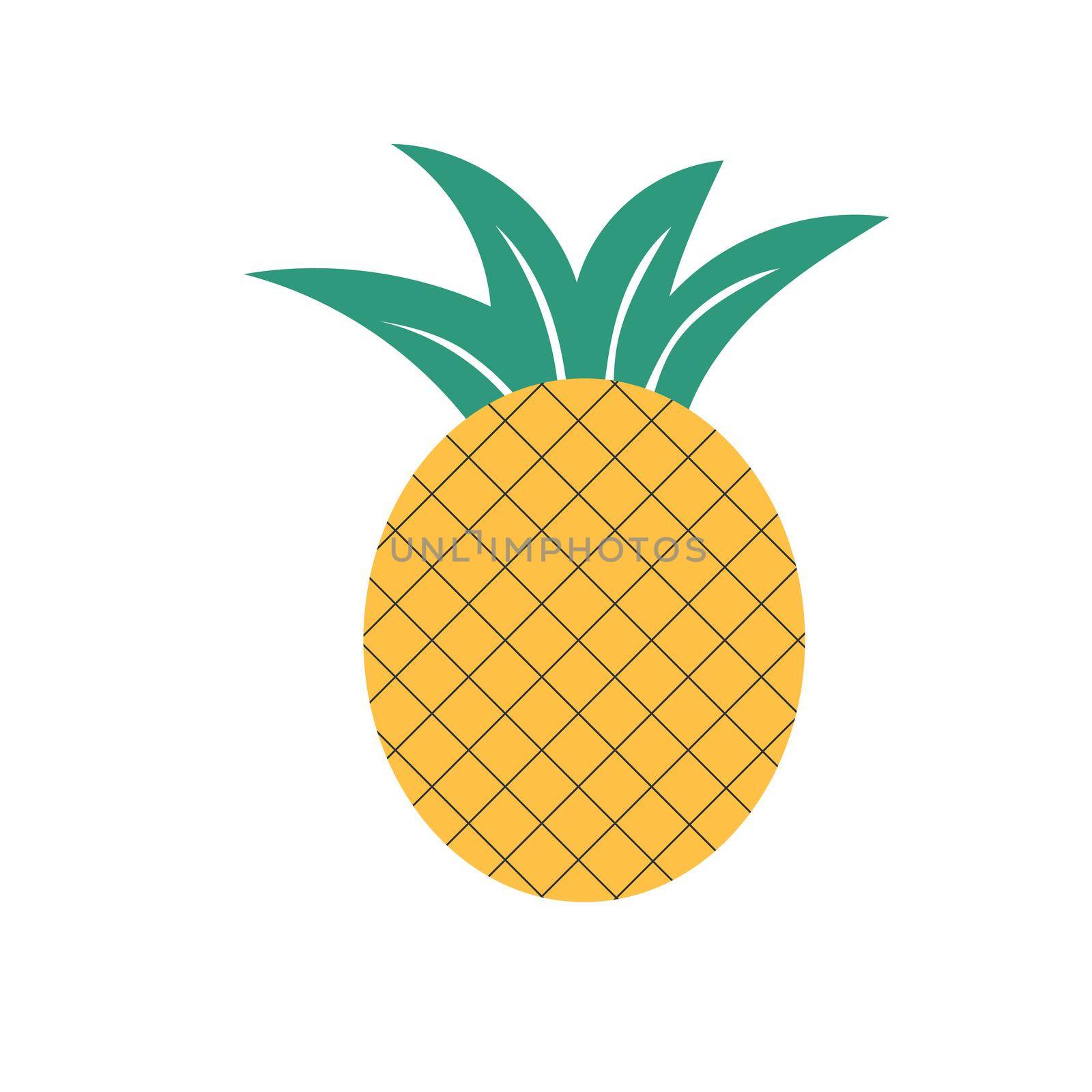Modern vector pineapple illustration. Pineapple icon on white. Pineapple logo on isolated background. Hand drawn design style.