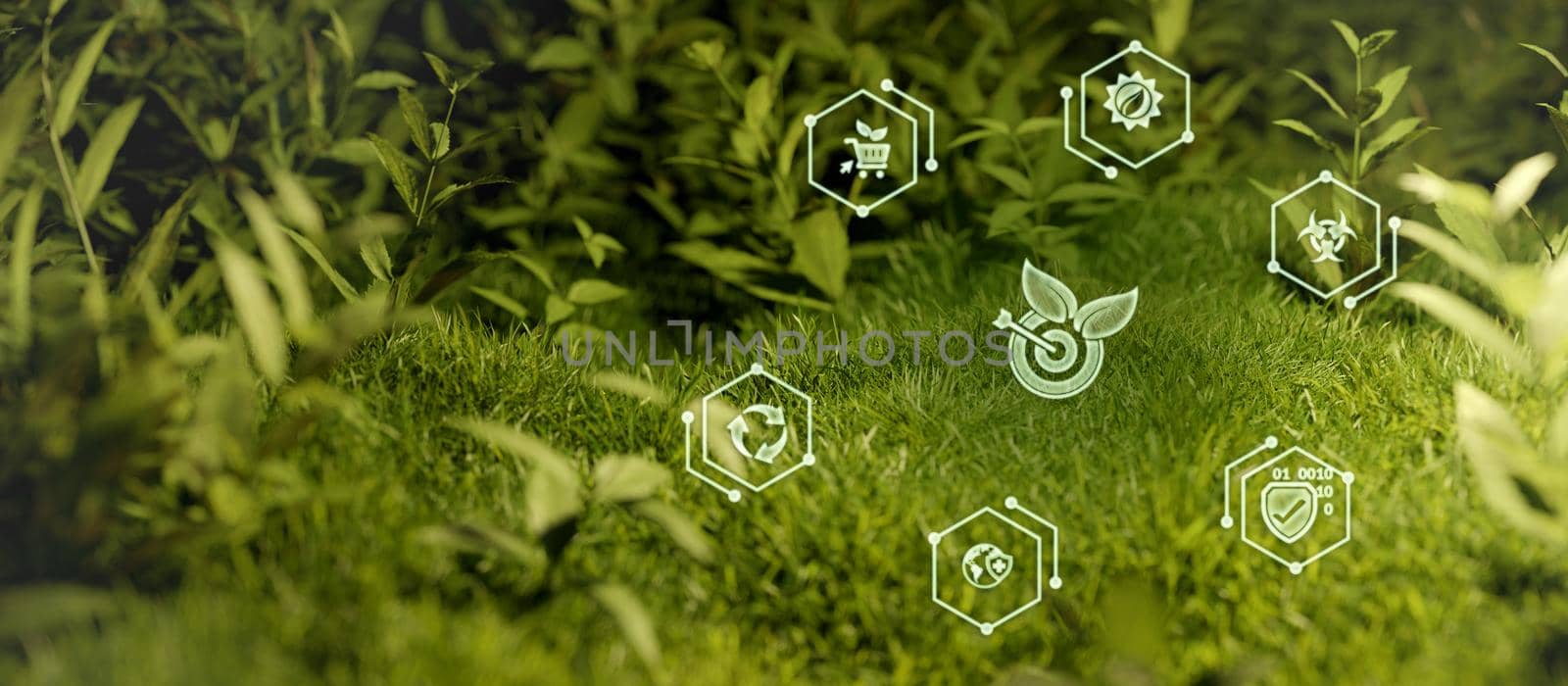 Clean energy sustainability green energy concept sources sustainable Ecology Elements 3D Render