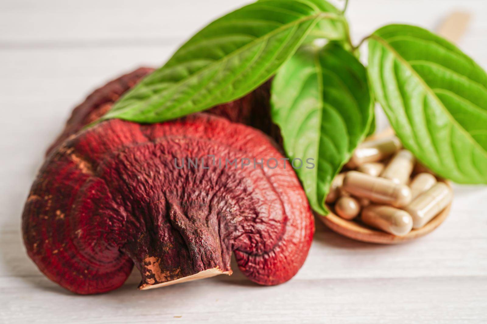 Lingzhi or Reishi mushroom with capsules, organic natural healthy food.