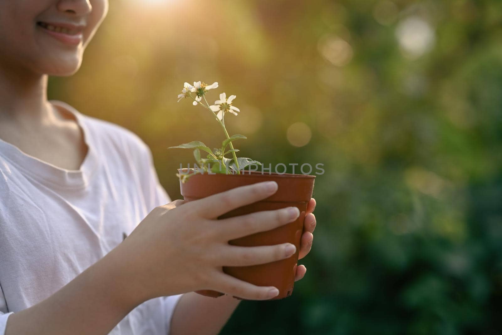 Cute little girl hands holding potted plant on blurred green nature background. Earth day, Ecology concept.