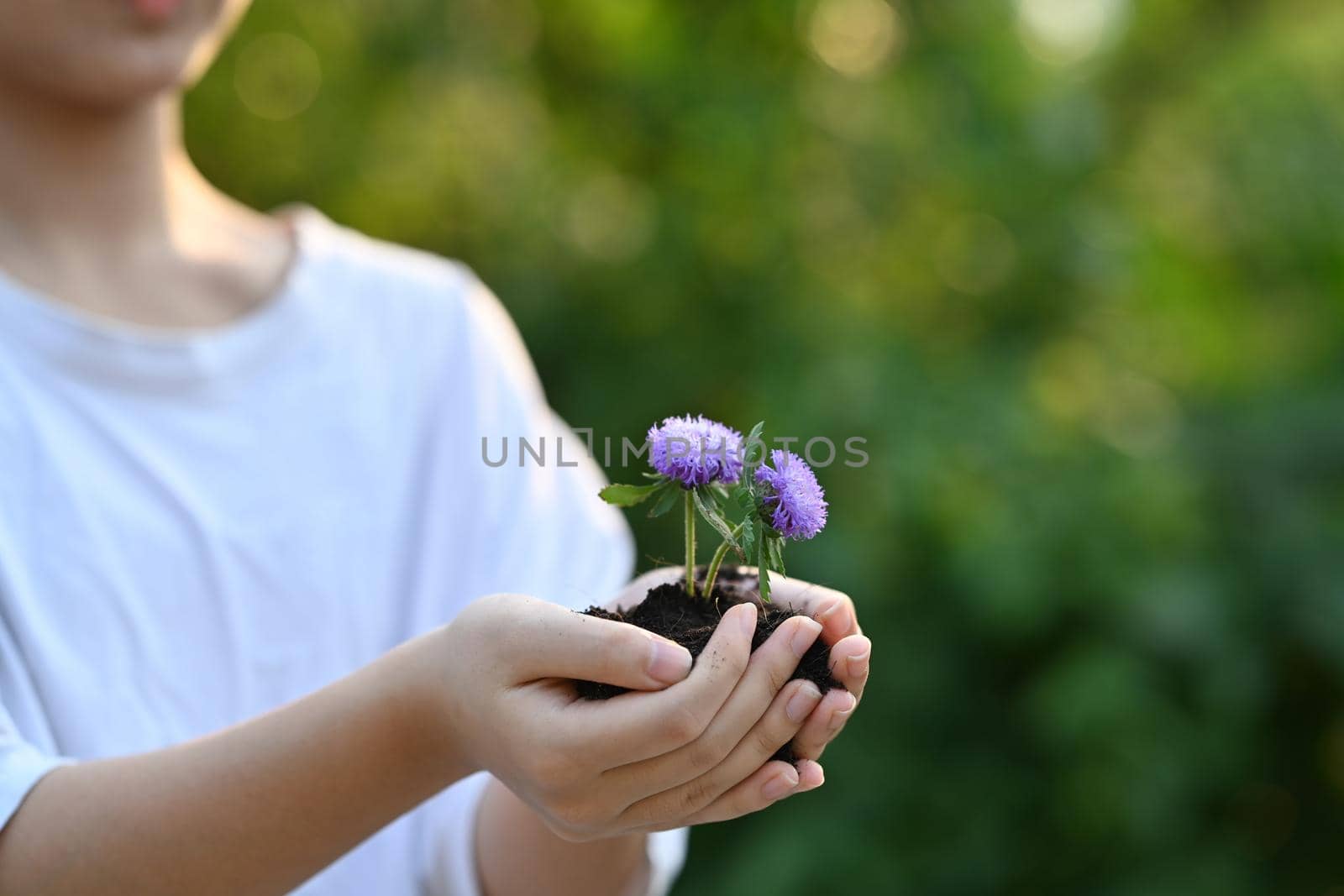 Little girl hands holding plant in hands against blurred green nature background. Concept of saving the world, earth day. by prathanchorruangsak