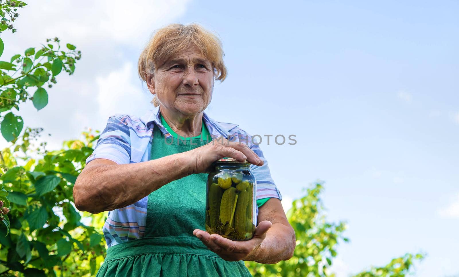 Grandmother canning cucumbers for the winter. Selective focus. Food.