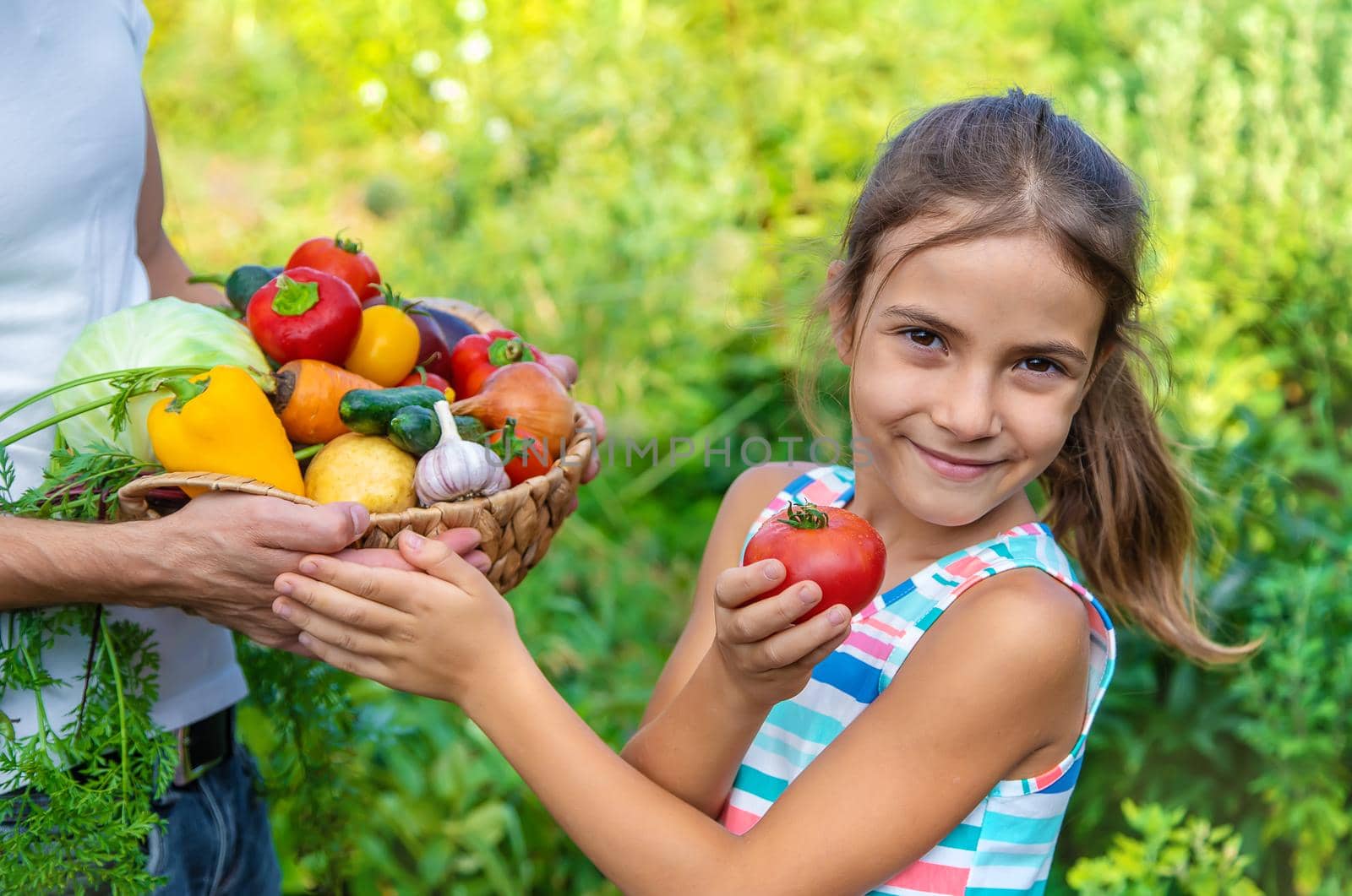 A man farmer holds vegetables in his hands and a child. Selective focus. Food.