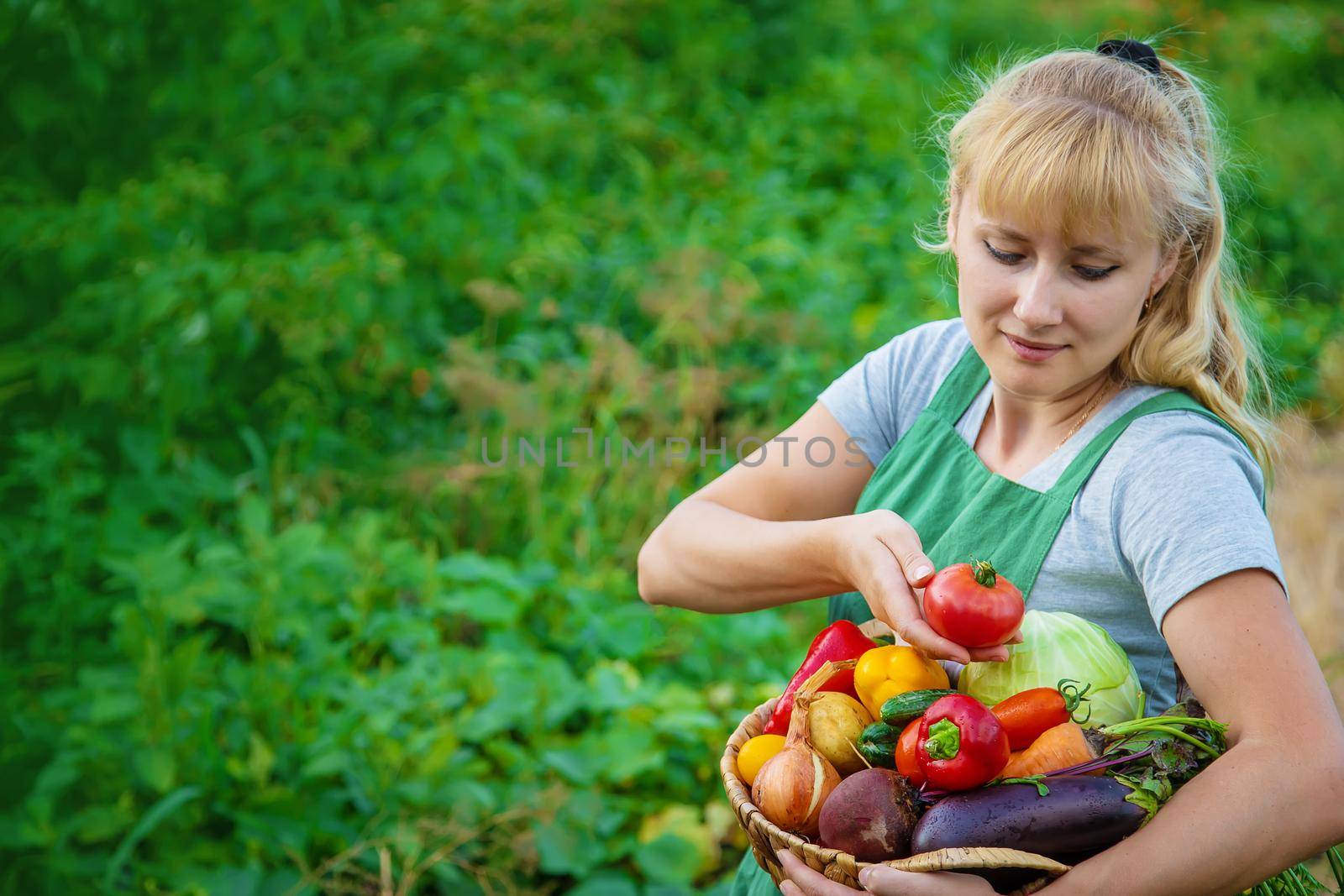Woman farmer in the vegetable garden with a harvest of vegetables. Selective focus. Food.