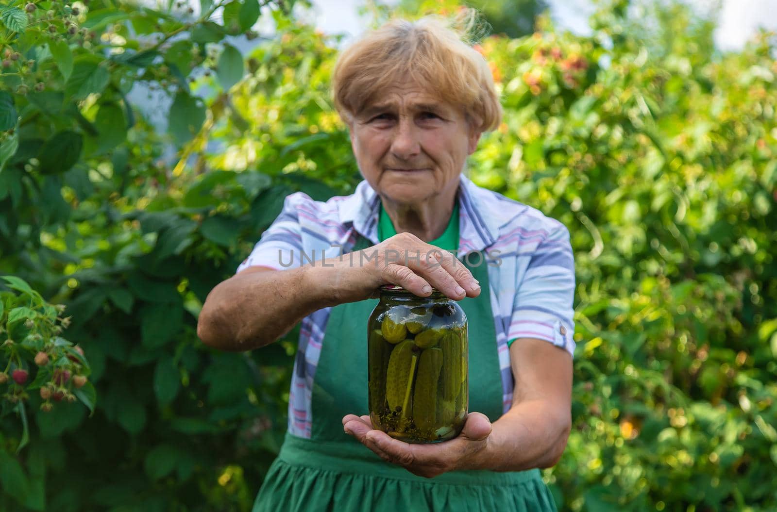 Grandmother canning cucumbers for the winter. Selective focus. Food.