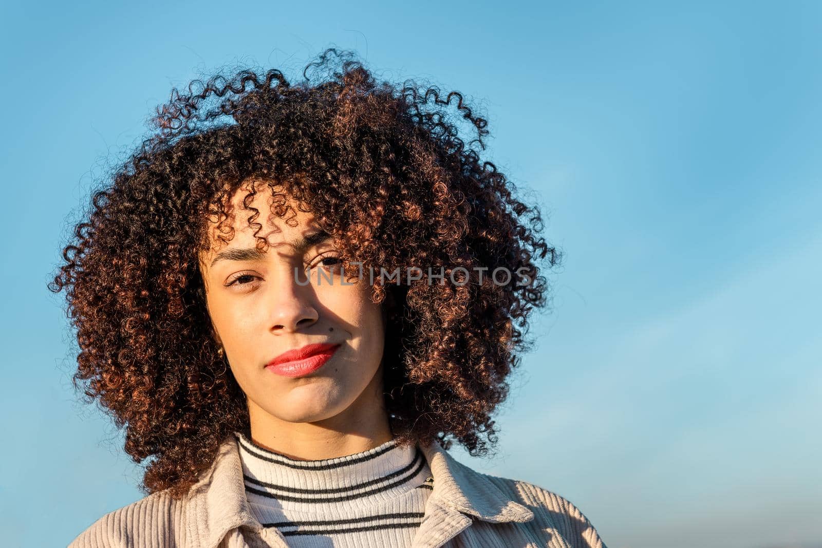 portrait of a beautiful afro american young woman with curly afro hair, concept of beauty, youth and diversity, copy space for text