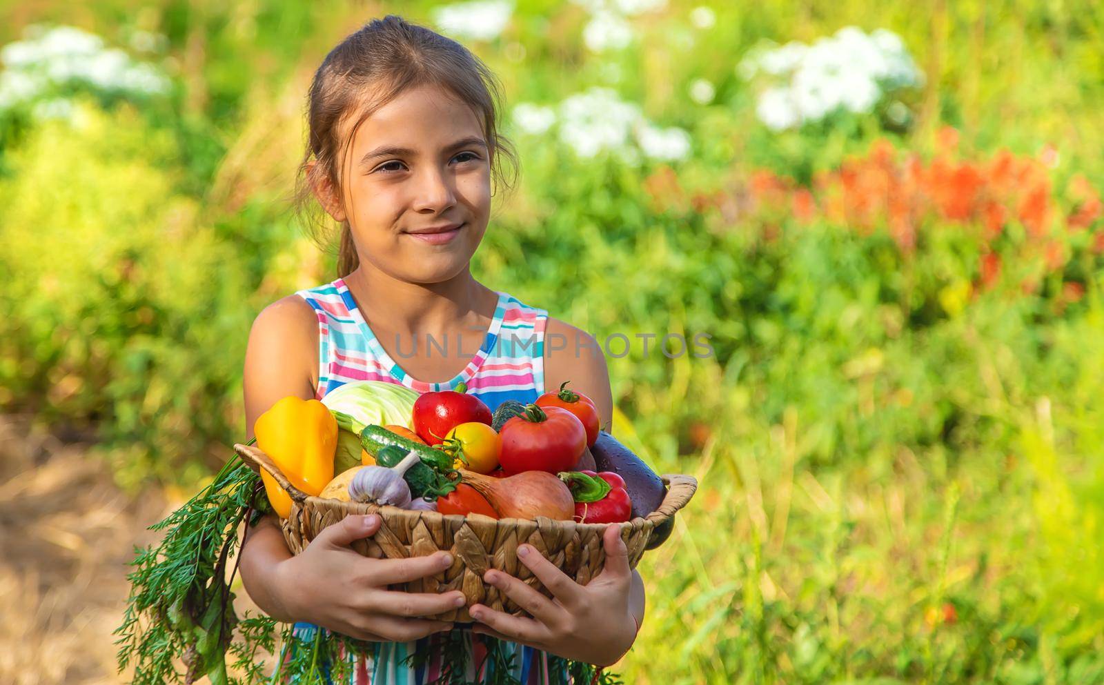 The child holds vegetables in his hands in the garden. Selective focus. Kid.